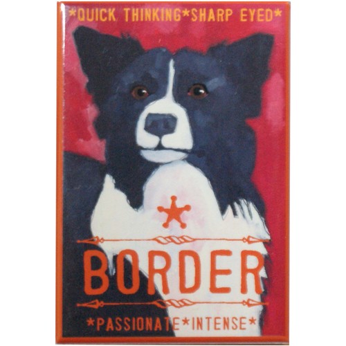 Border collie dog - collie,