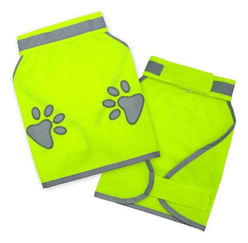 Border collie vis dog - collie,