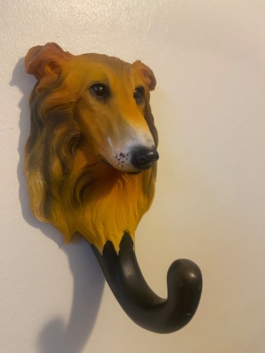 Rough collie dog lead - rough,