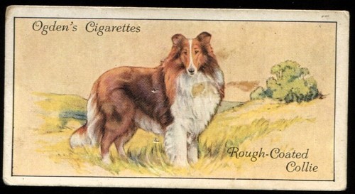 Tobacco card ogdens dogs - tobacco, ogdens,