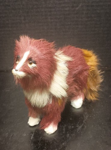 Vintage rough coat collie dog - rough,