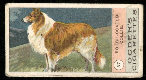 Tobacco card ogdens - ogdens,, fowls