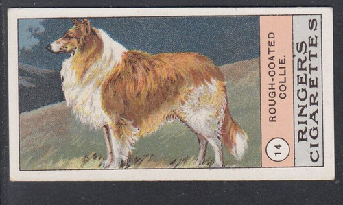1908 edwards ringer bigg - 1908, edwards,