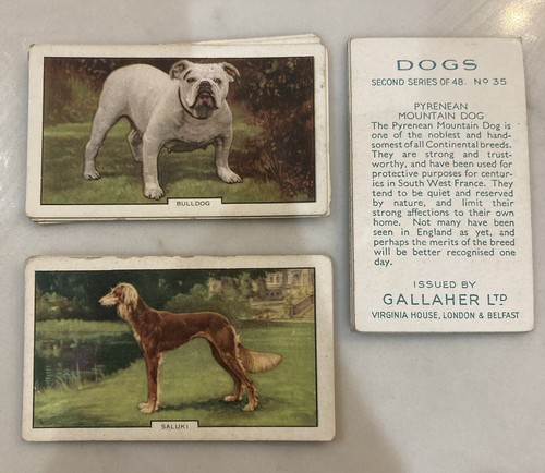 1938 gallaher dogs - 2,