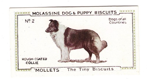 Jacobs biscuits molassine dogs - jacobs,
