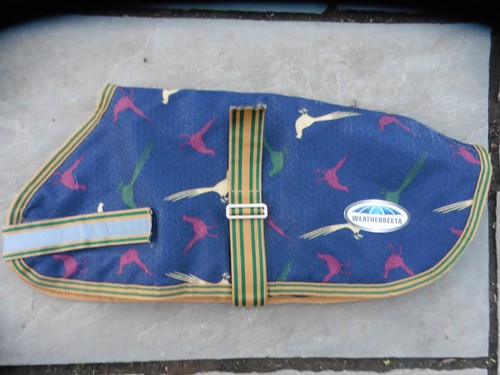 Weatherbeta padded dog coat - padded,