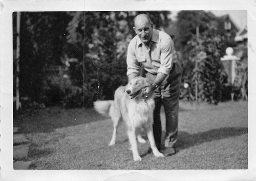 Vintage happy rough collie - vintage,
