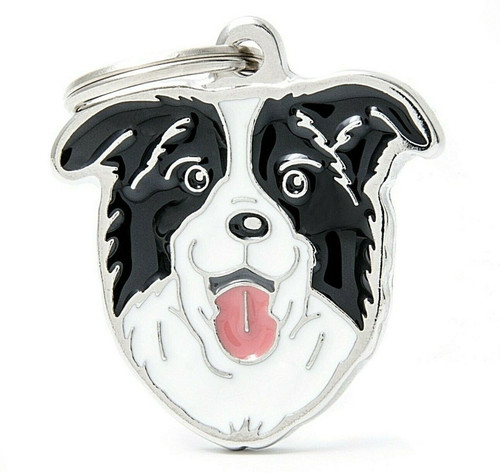 Border collie dog - dog, (03n)