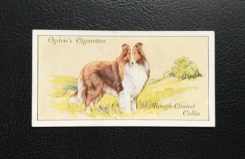 Ogdens dogs cigarette cards - ogdens,