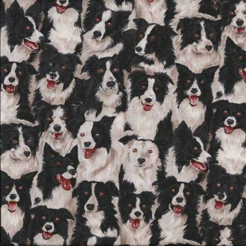 100 cotton fabric makower - fabric,