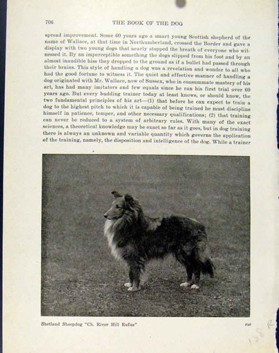 Original old antique print - original,