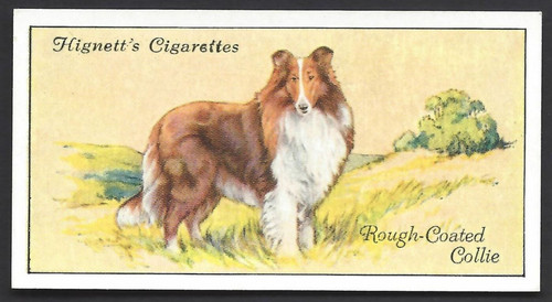 Hignett dogs 7 rough - dogs,