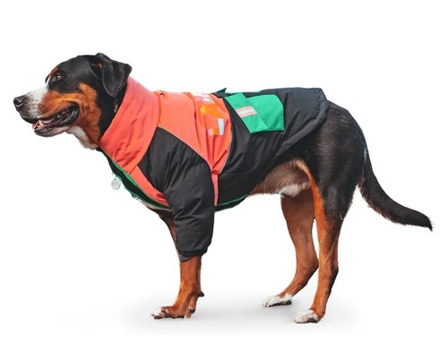Laifug dog winter - laifug, coat