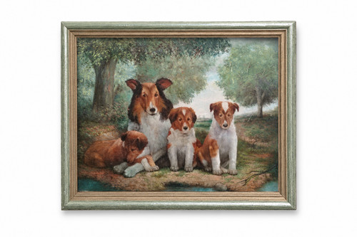 Miguel gayo collie family - |, in