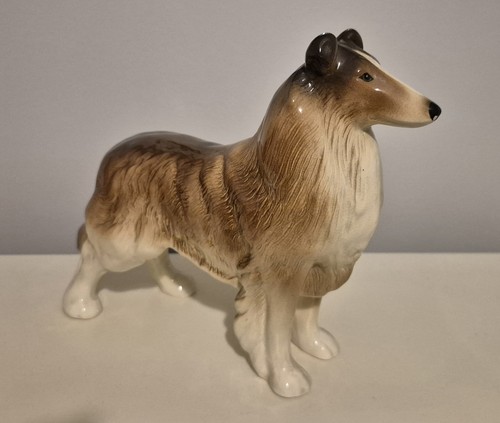 Rough coated collie lassie dog - collie,