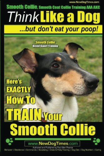 Smooth collie coat - smooth,