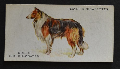 1929 john player dogs - player's,