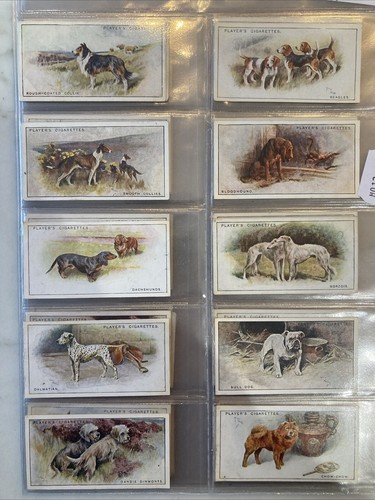 1925 player dogs - dogs, (small)