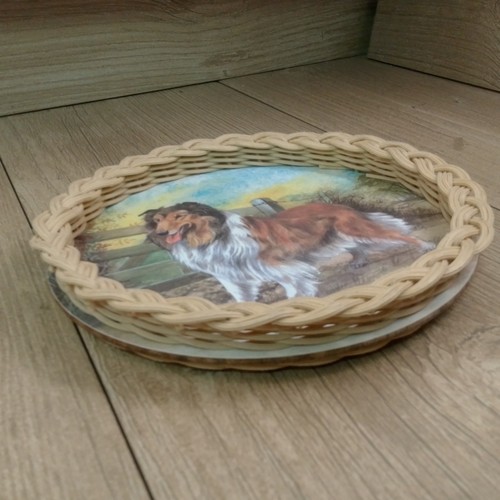 Collie dog design tea - design, tray