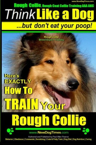 Rough collie coat - rough,