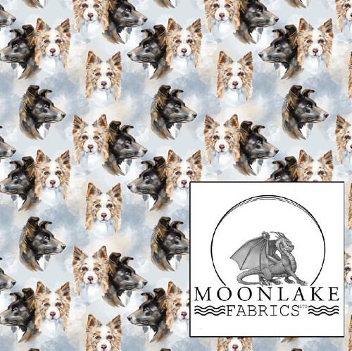 Dogs border collie heads - ,