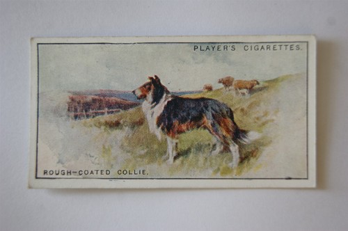 1925 john player sons dogs - john,